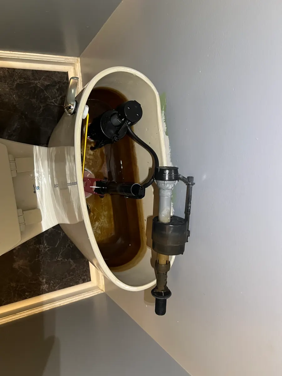 Toilet tank with a new fill valve fitted