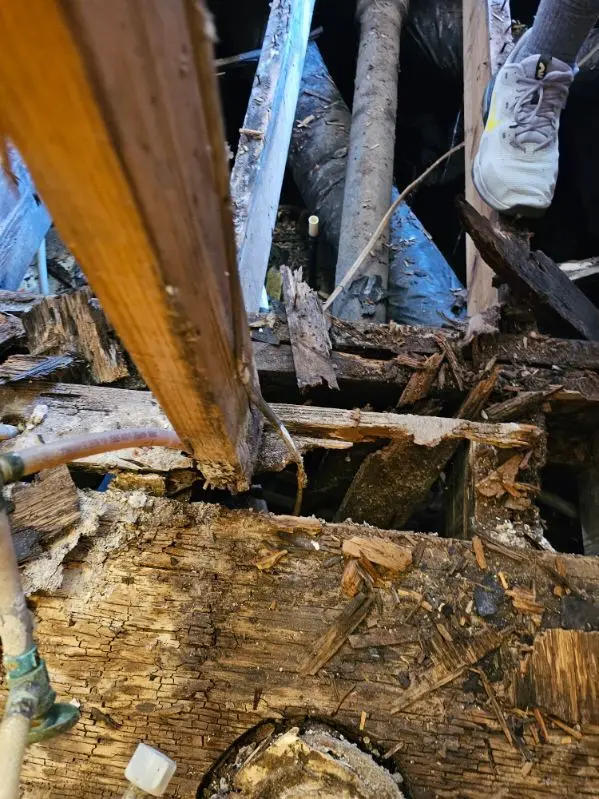 Rotted bathroom subfloor cut back to sound wood during demolition