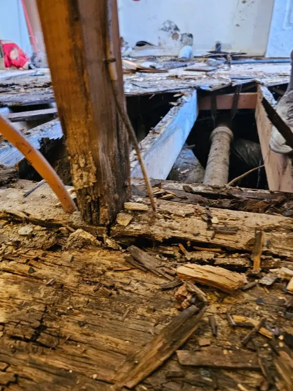 Removing a rotted joist section under a bathroom floor